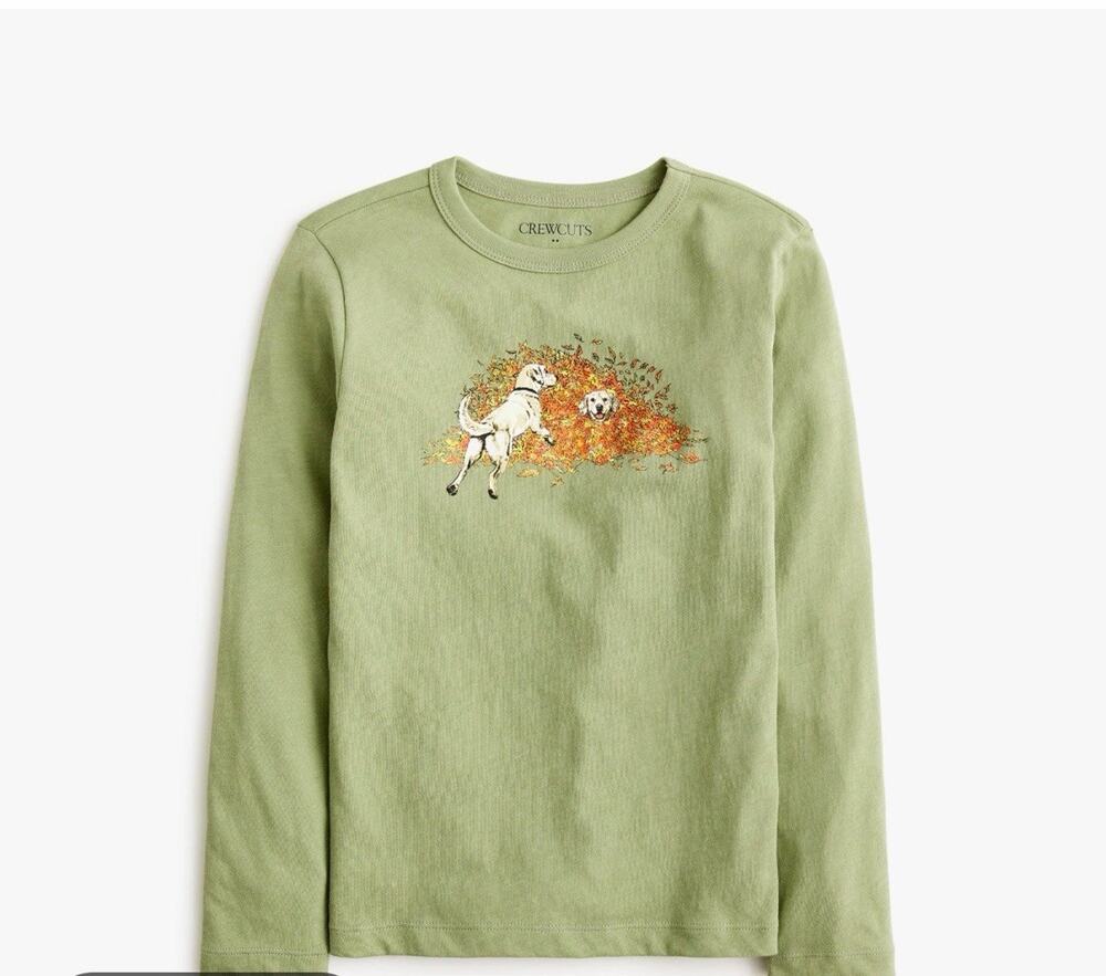 Crewcuts Boys 12-18 mo Fall Long Sleeve T-shirt Dog in Leaves